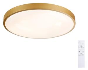 Brilagi - Lampada LED dimmerabile GLASS POOL DOUBLE LED/60W/230V 50 cm dorata + telecomando