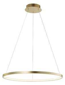 Leuchten Direkt 11524-12 - Lampadario LED a sospensione CIRCLE LED/28,5W/230V