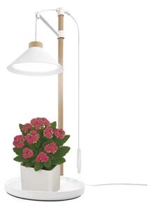 Lampada LED da interno per la coltivazione di piante GROW LED/7W/5V