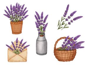 Illustrazione Set watercolor lavender bouquet in bucket, Evgeniya Sheydt, (40 x 30 cm)
