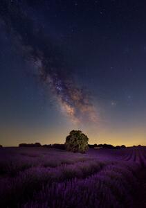 Fotografia artistica Milky Way dreams, Carlos Hernandez Martinez, (26.7 x 40 cm)