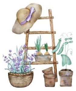 Illustrazione Beautiful lavender provence watercolor illustration, VYCHEGZHANINA, (40 x 40 cm)