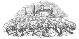 Illustrazione Rural landscape with villa vineyard fields, DenPotisev, (40 x 22.5 cm)