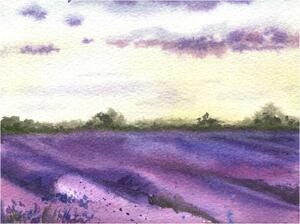 Illustrazione Watercolor lavender field hand drawn Provencal, Elena Dorosh