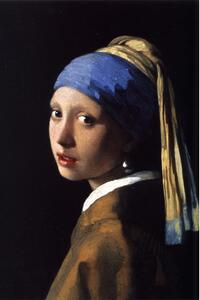 Riproduzione pittorica 30x40 cm Johannes Vermeer - Girl with a Pearl Earring - Fedkolor