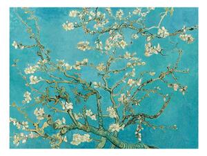 Riproduzione del dipinto Mandorlo in fiore di Vincent van Gogh, 70 x 50 cm Vincent van Gogh - Almond Blossom - Fedkolor