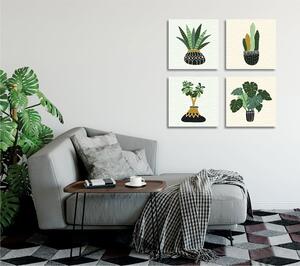 Quadri in set di 4 pezzi 30x30 cm Plants - Wallity
