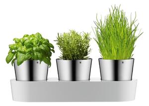 Set di 3 vasi in metallo per erbe aromatiche/auto-irrigazione ø 11 cm - WMF