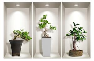 Set di 3 adesivi murali 3D Piante Bonsai - Ambiance