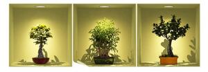 Set di 3 adesivi con effetto 3D Alberi Bonsai su Spot - Ambiance