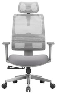 Sedia da ufficio, design ergonomico, supporto lombare adattivo, grigio