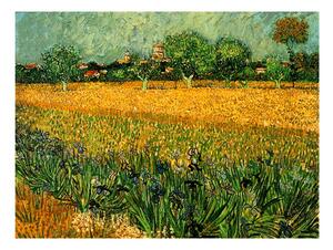 Riproduzione di Vincent van Gogh - Veduta di arles con iris in primo piano, 40 x 30 cm Vincent van Gogh - View of arles with irises in the foreground - Fedkolor