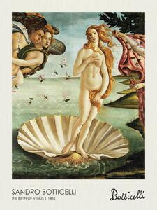 Riproduzione The Birth of Venus 1485, Sandro Botticelli