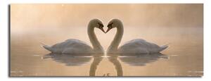 L'immagine su tela Swan Love, 90 x 30 cm - Wallity