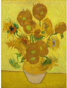 Dipinto - riproduzione 50x70 cm Sunflowers, Vincent van Gogh - Fedkolor