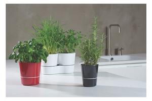Vaso in plastica per erbe aromatiche/autoinnaffiante ø 13 cm Hydro Herbs - Mepal