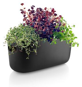 Vaso in ceramica per erbe aromatiche/auto-irrigazione - Eva Solo