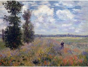 Riproduzione di Claude Monet - Campi di papaveri presso Argenteuil, 40 x 30 cm Claude Monet - Le Pont de Waterloo - Fedkolor