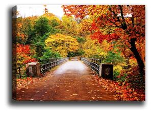 Pittura , 70 x 50 cm Autumn Bridge - Tablo Center