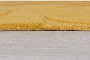 Tappeto in lana gialla 160x230 cm Gigi - Flair Rugs