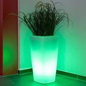 Lampada Trevia V LED RGBW, per piante bianco