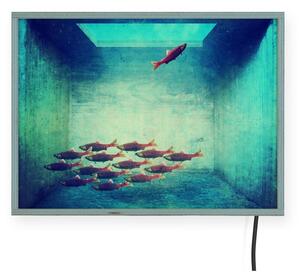 Decorazione da parete leggera , 40 x 30 cm Free Fish - Surdic