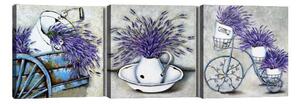 Set di 3 quadri Lavanda Lavender Bouquet - Tablo Center
