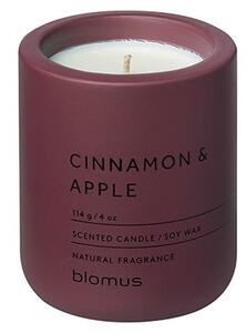 Candela di soia profumata tempo di combustione 24 ore Fraga: Cinnamon & Apple - Blomus