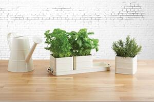 Set di 3 vasi in metallo per erbe aromatiche Living Nostalgia - Kitchen Craft