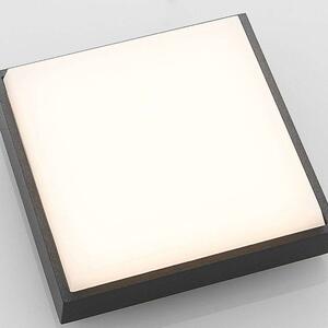 Lucande - Amra LED Quadrato Plafoniera da Esterno 17,5 Grigio Scuro