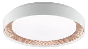 Brilliant - LED dimmerabile plafoniera WALDO LED/24W/230V bianco/oro rosa + telecomando