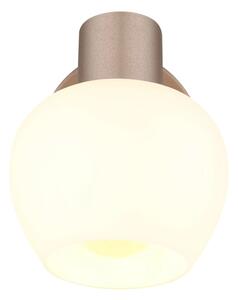 Globo 54662-1 - Faretto da parete orientabile EILEEN 1xE27/40W/230V