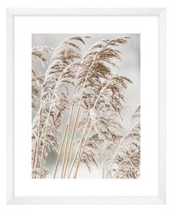 Poster 40x50 cm Frost - knor