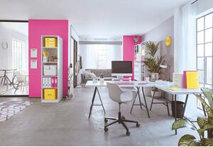 Scatola di cartone rosa con coperchio 32x36x31 cm Click&Store - Leitz