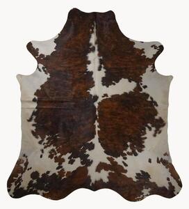 Pelle bovina Cosy