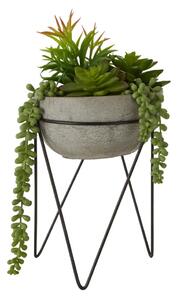 Succulenta artificiale (altezza 36 cm) Fiori - Premier Housewares