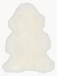 Pelle di pecora Texel