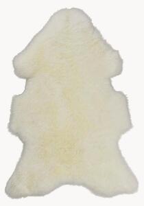 Pelle di pecora Texel