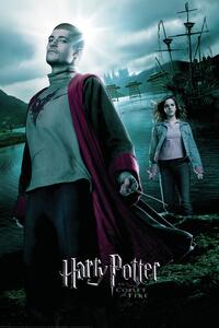 Stampa d'arte Harry Potter and the Goblet of Fire - Krum