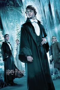 Stampa d'arte Harry Potter and the Goblet of Fire - Harry