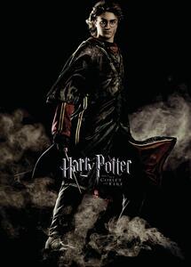 Stampa d'arte Harry Potter and the Goblet of Fire - Harry