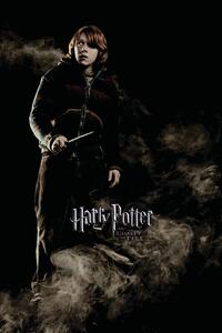 Stampa d'arte Harry Potter and the Goblet of Fire - Ron