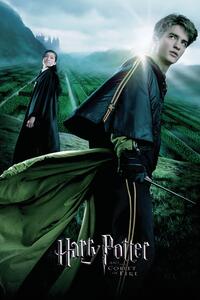 Stampa d'arte Harry Potter and the Goblet of Fire - Cedric