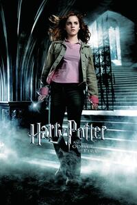 Stampa d'arte Harry Potter and the Goblet of Fire - Hermione