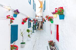 Fotografia View of white street and flowers, yagmradam