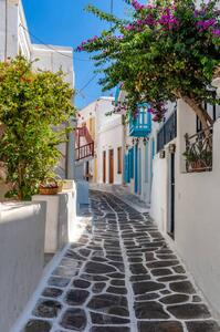 Fotografia narrow street in Mykonos, Dcelotti