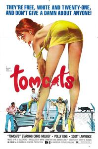 Illustrazione Tomcats 1976