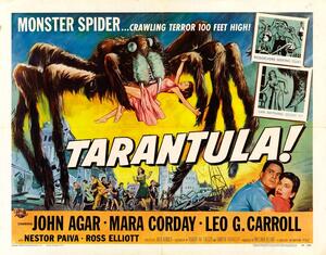 Illustrazione Tarantula 02