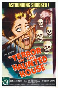 Illustrazione Terror In Haunted House