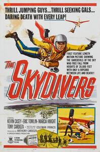 Illustrazione Skydivers